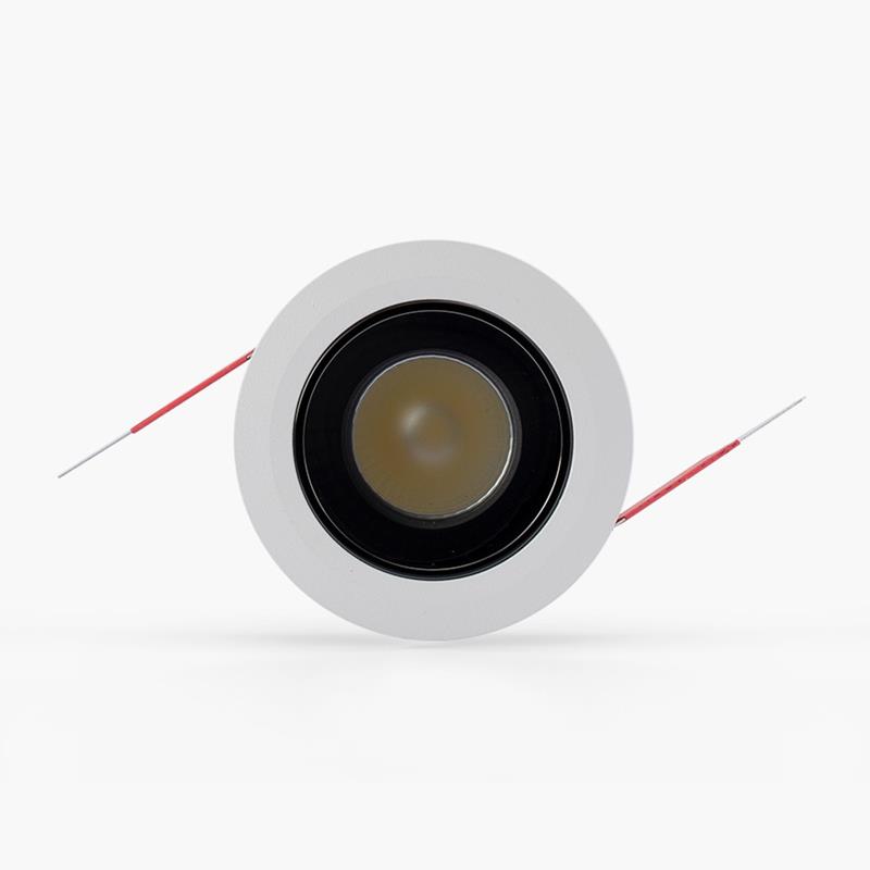 Đèn Led Downlight đổi màu Rạng Đông AT19.BLE 65/7W (A24)