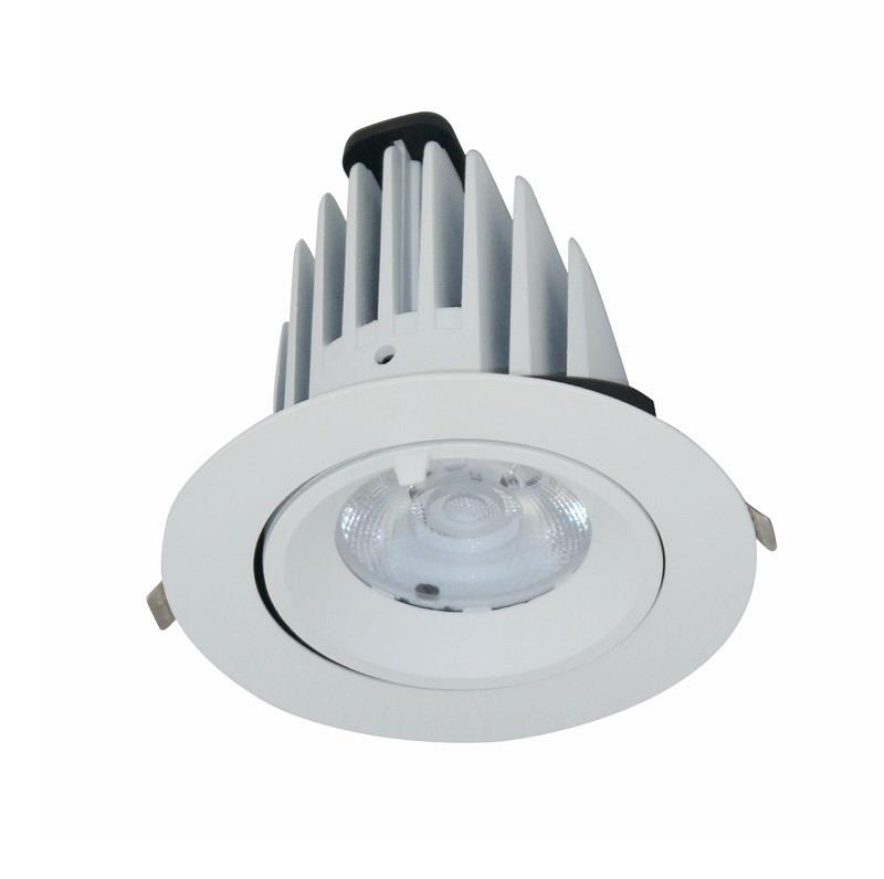 Đèn Led downlight chiếu sâu 30W