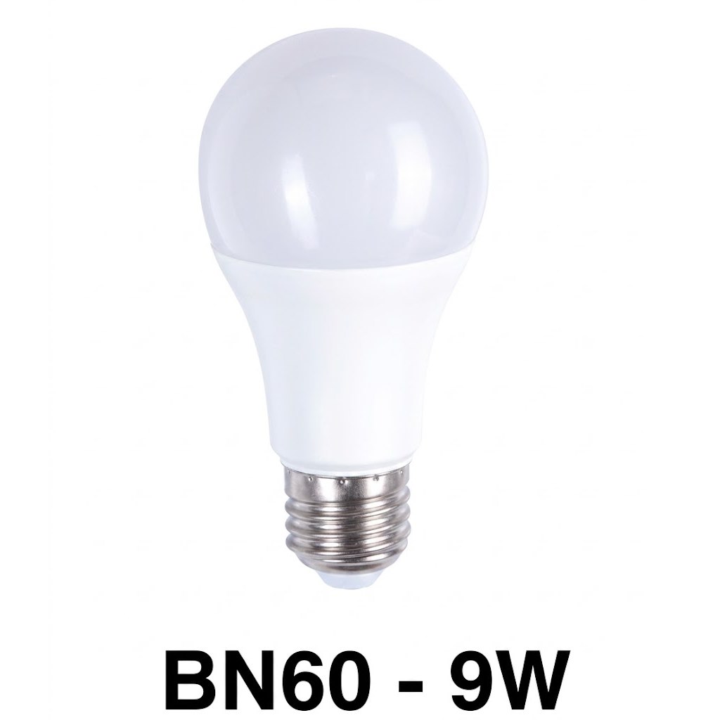 Bóng đèn trang trí Veronia BN60 - 9W
