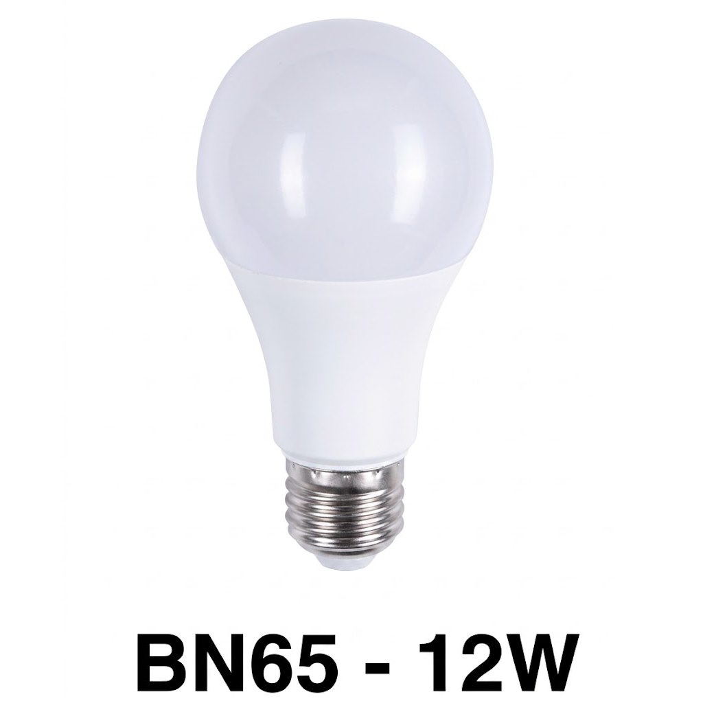 Bóng đèn trang trí Veronia BN65 - 12W