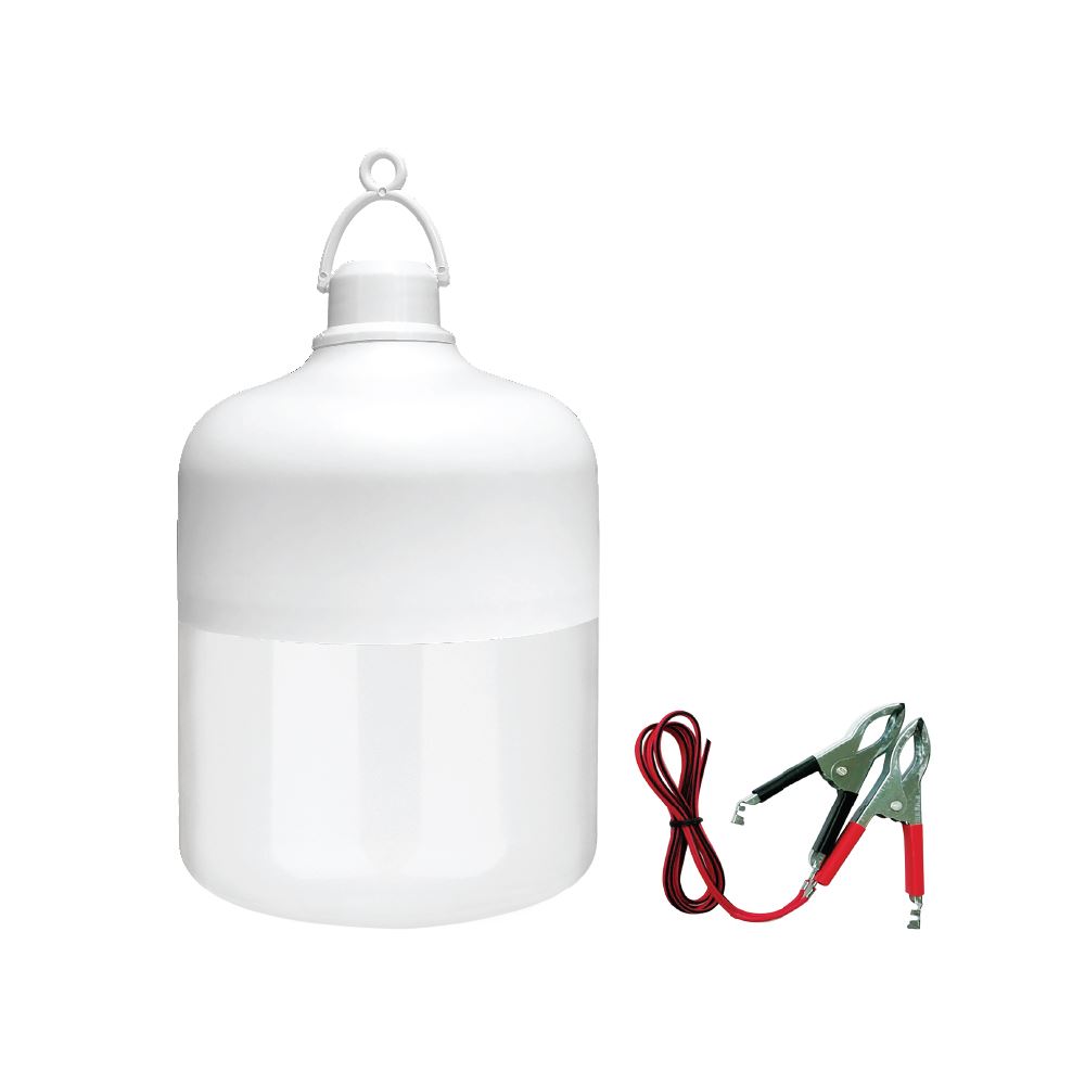 Bóng đèn chạy điện DC Roman (12-24V) 12W