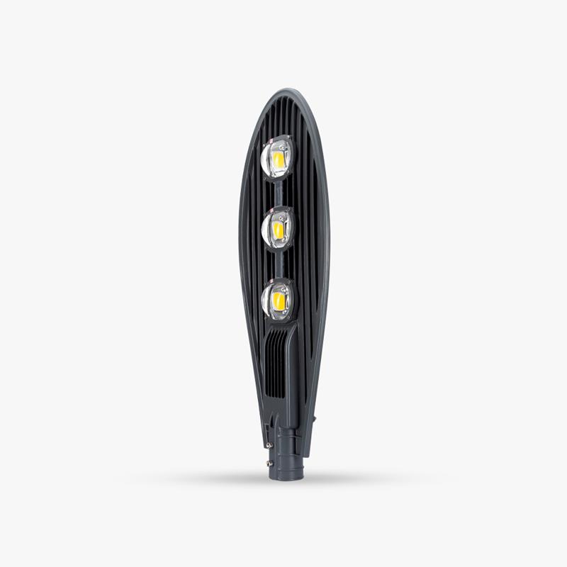 Đèn đường Rạng Đông 200W