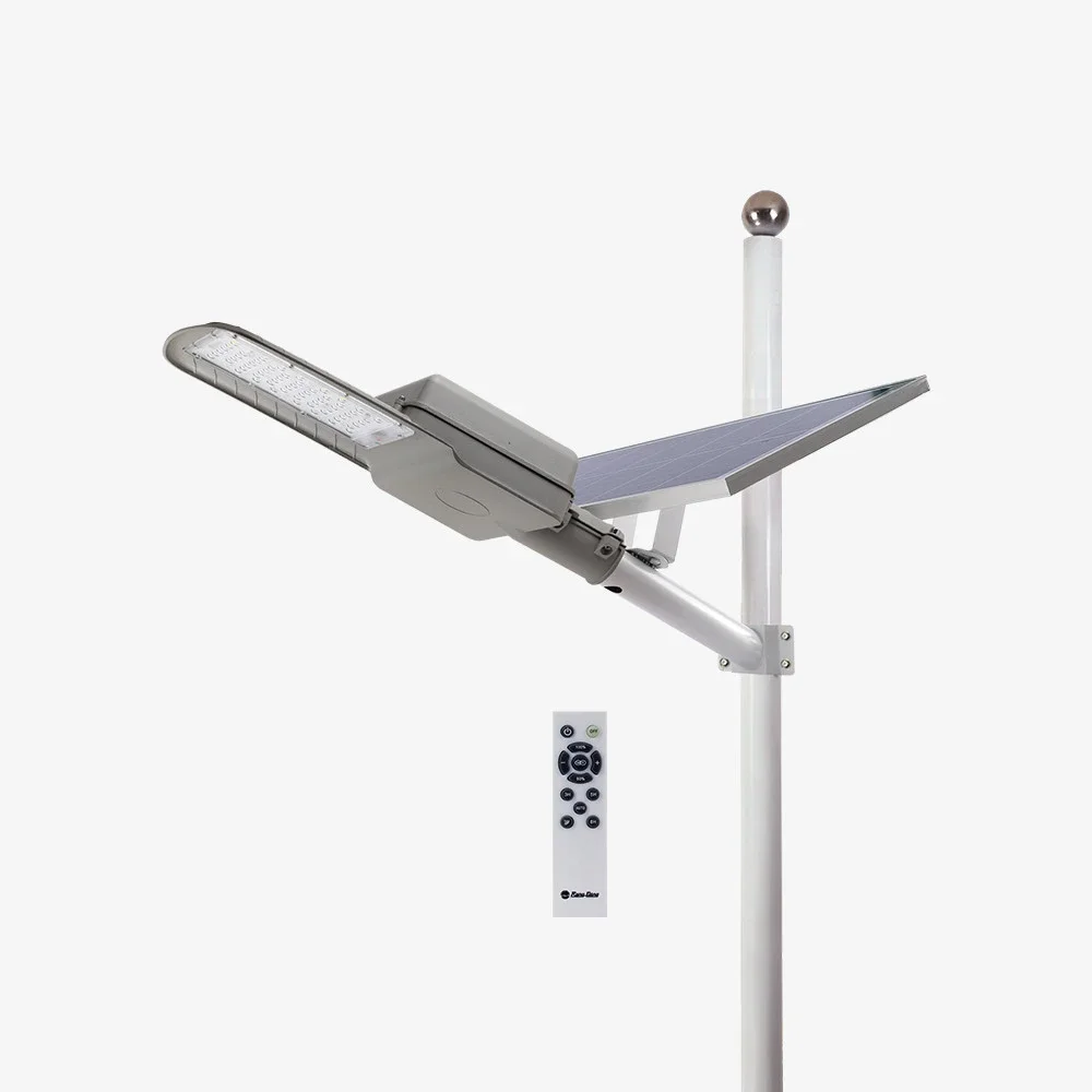 Đèn đường năng lượng mặt trời Rạng Đông CSD05