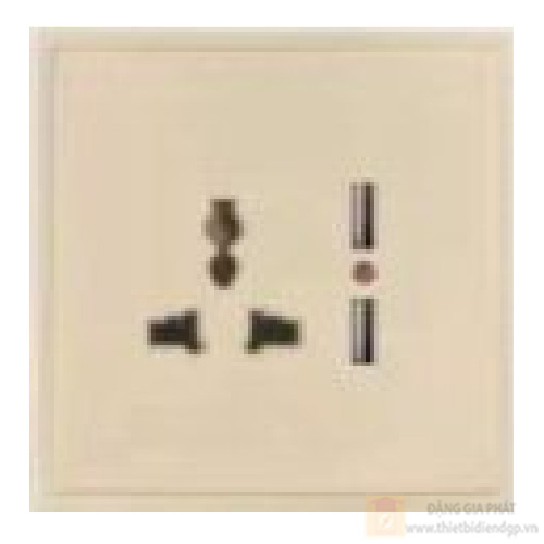 Bộ ổ cắm đa năng và 2 cổng USB duhal cổ điển S1 series