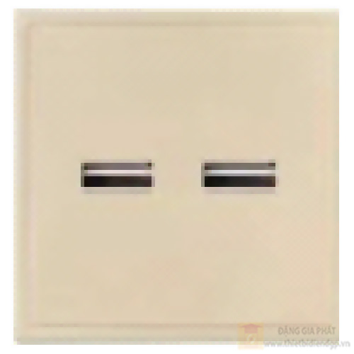 Bộ 2 ổ cắm USB duhal cổ điển S1 series