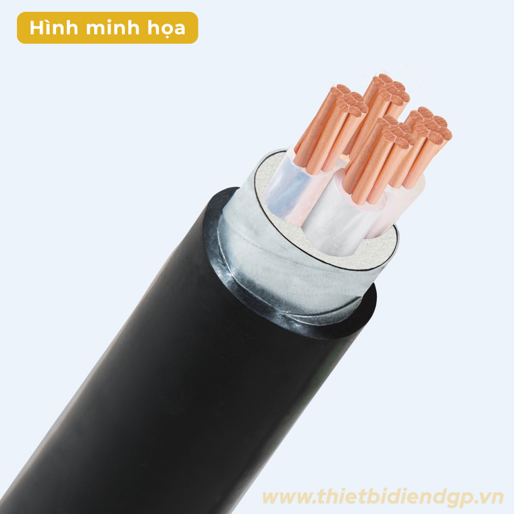Cáp điện hạ thế ruột đồng CXV/DSTA LiOA 3 lõi