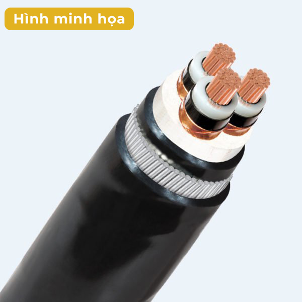 Cáp trung thế có màn chắn ruột đồng CXV/SE/SWA LiOA