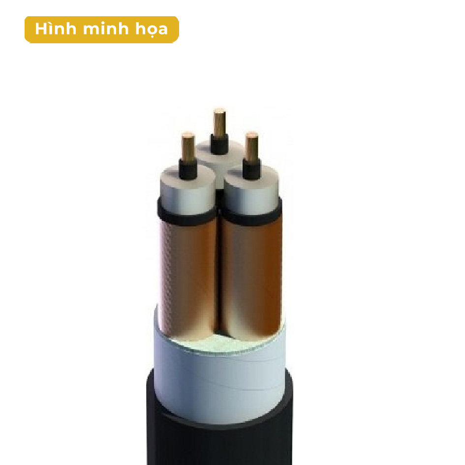 Cáp trung thế có màn chắn ruột đồng CXV/SE LiOA