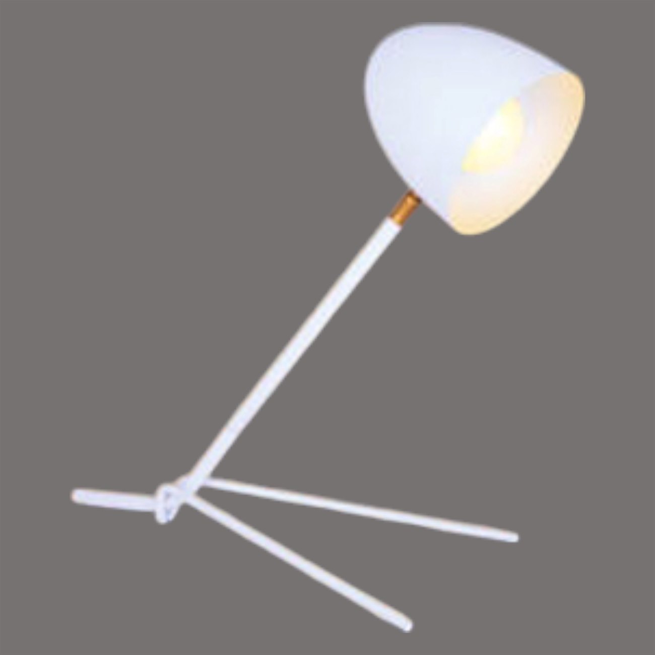 Đèn bàn Andora ĐB-2046A/WH L170*H420 - E27*1