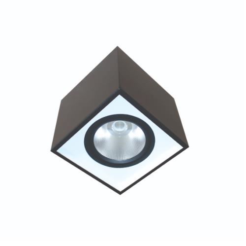 Đèn Led downlight gắn nổi chiếu sâu 10W