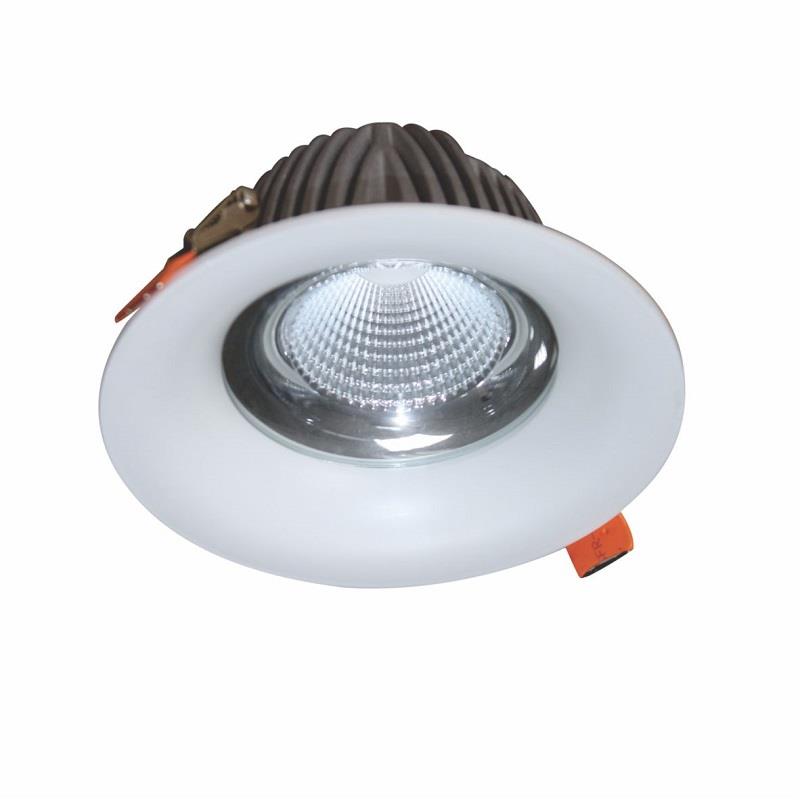 Đèn Led downlight chiếu sâu trần cao 20W