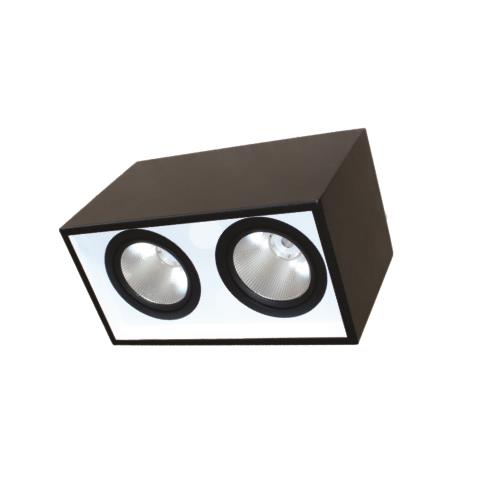 Đèn Led downlight gắn nổi chiếu sâu 2*10W