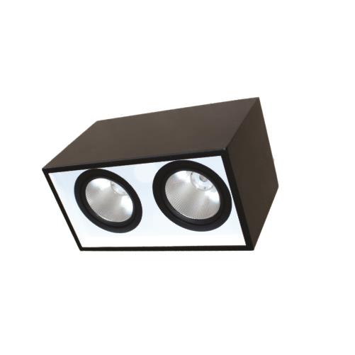 Đèn Led downlight gắn nổi chiếu sâu 2*30W