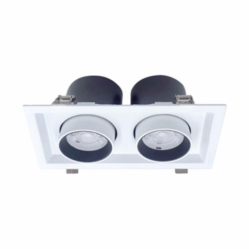 Đèn Downlight Chiếu Điểm 2*30W