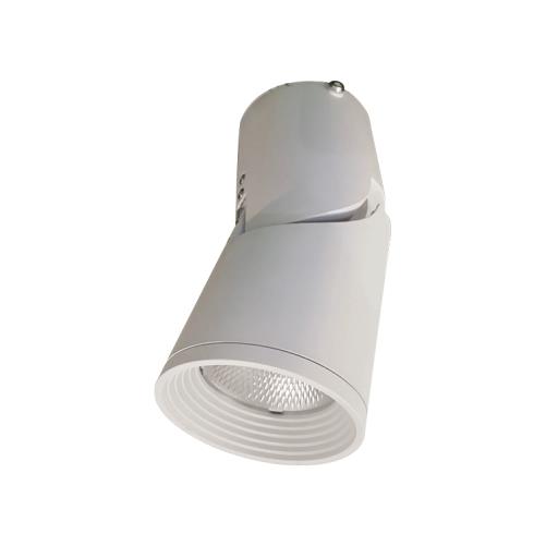 Đèn Led gắn nổi chiếu điểm trang trí 10W