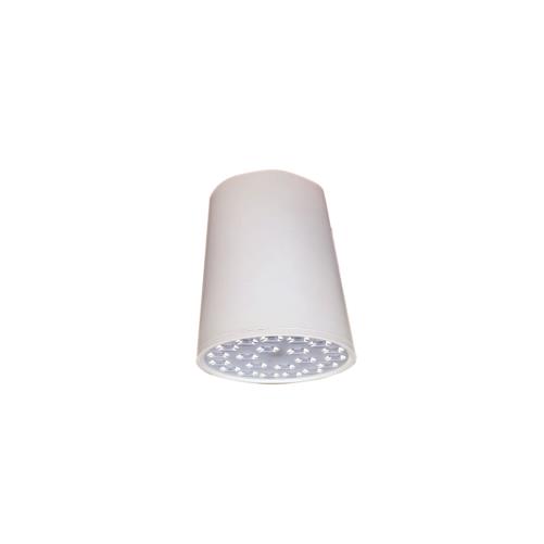 Đèn Led chiếu sâu gắn nổi trang trí Ø200