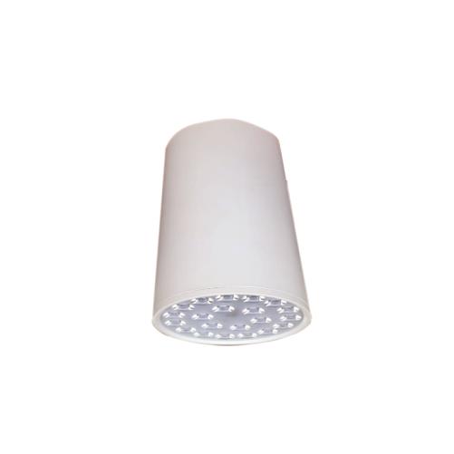 Đèn Led chiếu sâu gắn nổi trang trí 18W