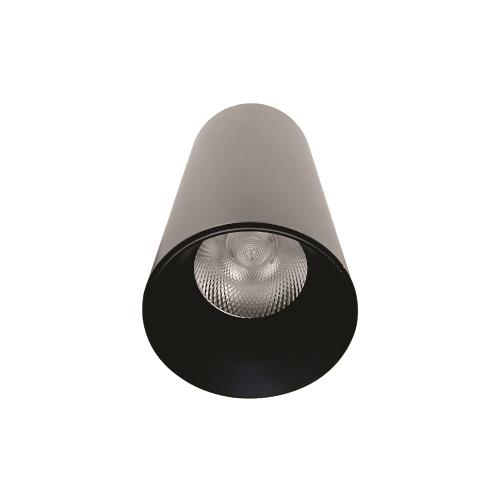 Đèn Led chiếu sâu gắn nổi trang trí 10W Ø75x160