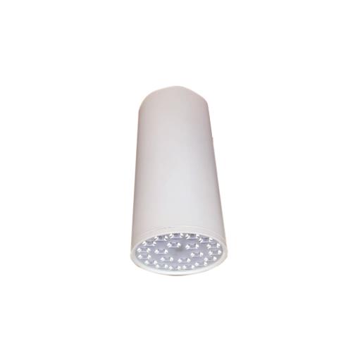 Đèn Led chiếu sâu gắn nổi trang trí 21W