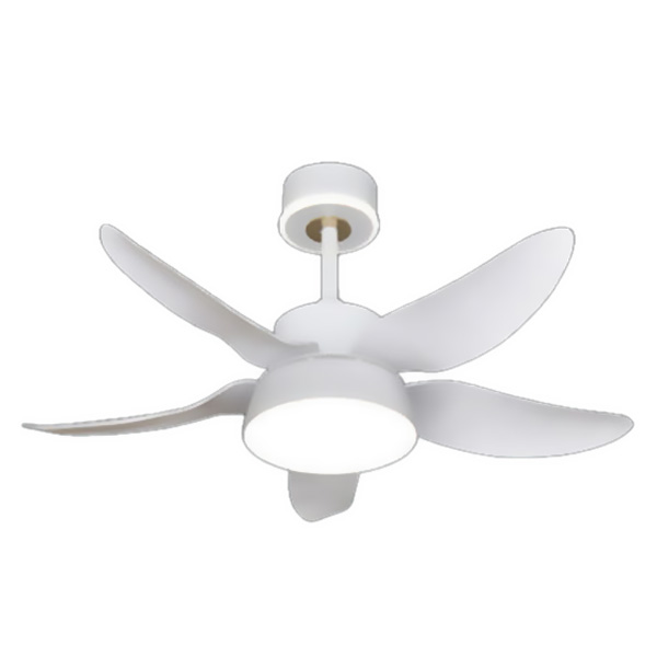 Quạt đèn Hufa Ø1200*H500 - LED 12W*2 - 5 Cánh - CS quạt 65W - ánh sáng 3 chế độ