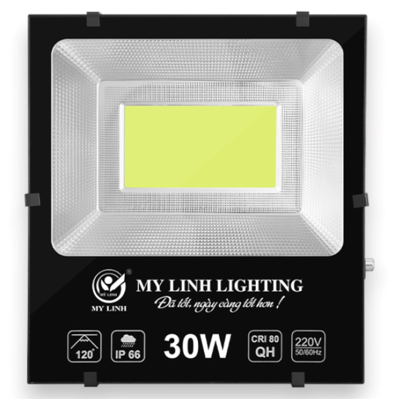 Đèn Led pha cao cấp 30W