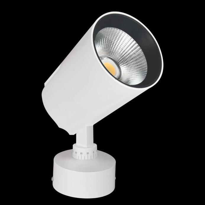 Đèn Chiếu Điểm Ngồi Ø75*L115*H170-COB 20W, Ánh sáng trắng & vàng, vỏ đen