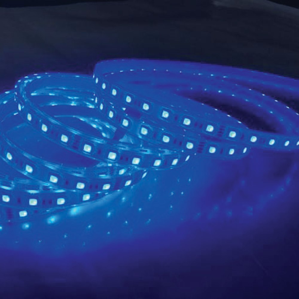 Đèn Led dây ngoài trời VinaLED SMD 5050 DC12V IP65