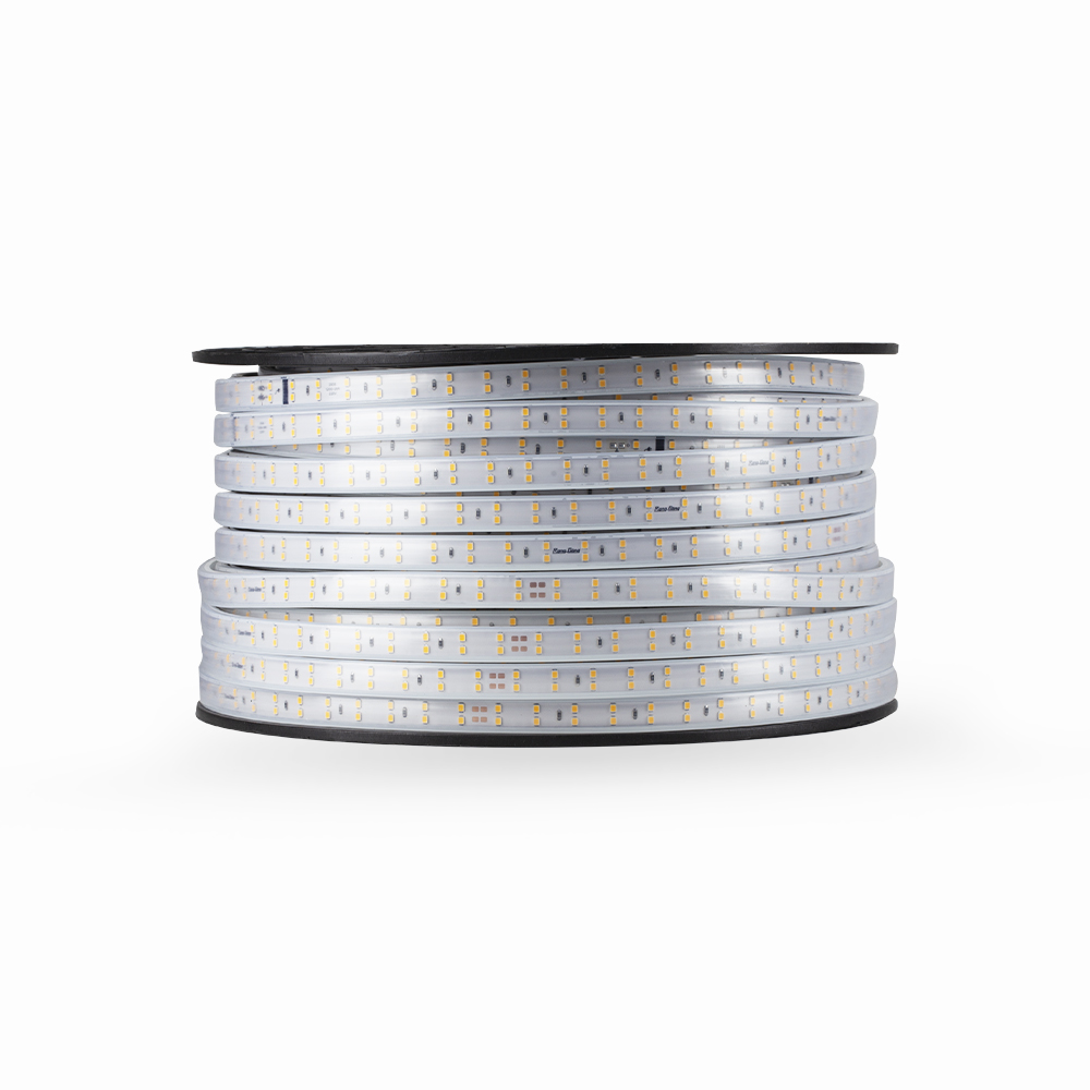 Led dây chiếu sáng Rạng Đông LD03
