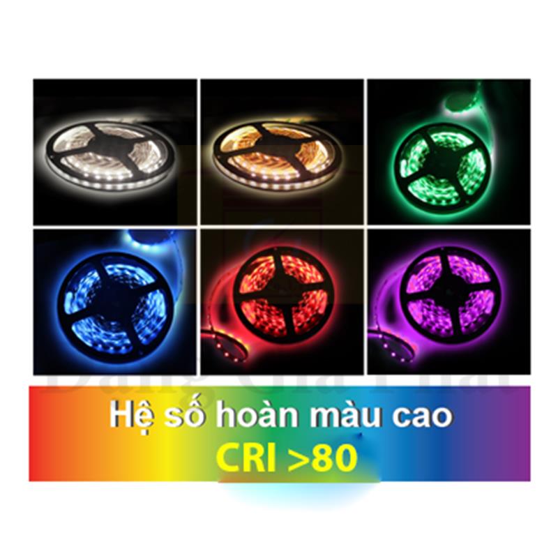 Led dây trong nhà 5050, 60 led