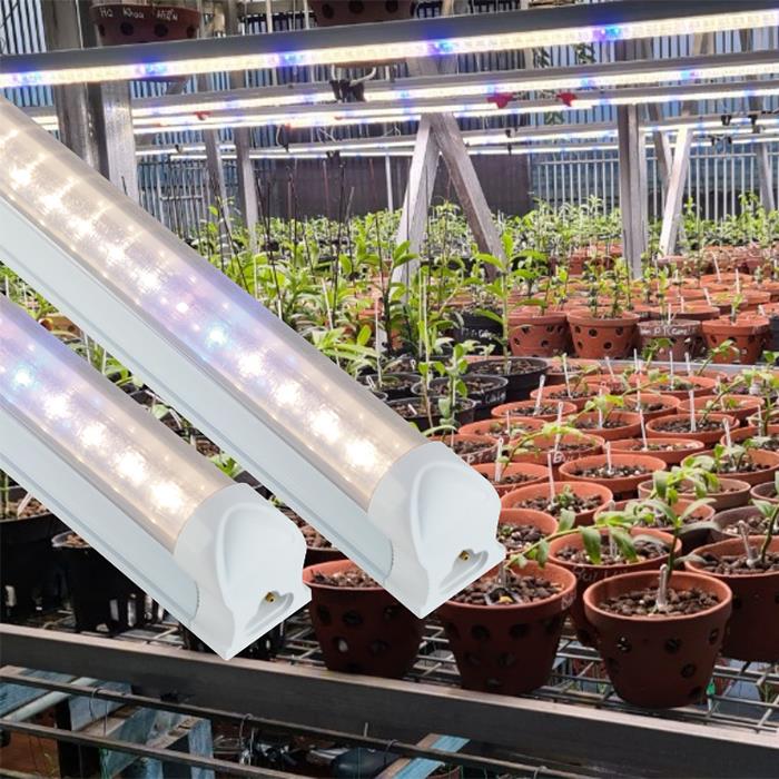 Đèn led trồng rau, hoa lan 1.2m