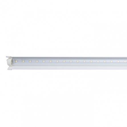 Đèn LED chuyên dụng trồng tảo 1,2m