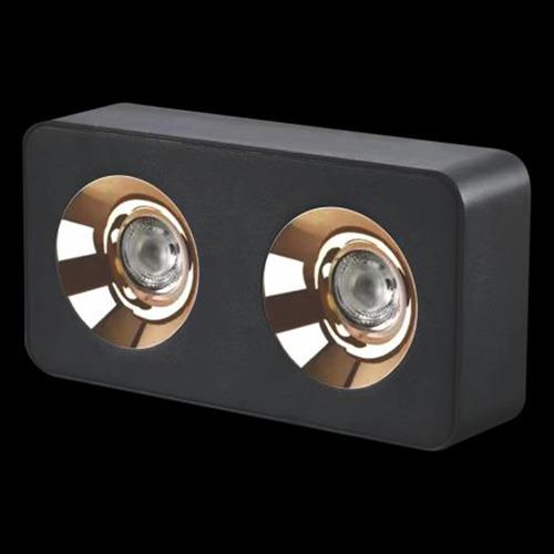 Đèn Lon ốp nổi L225*W115*H60- 3000K+4000K+6500K - 12W*2 Brigelux 24°