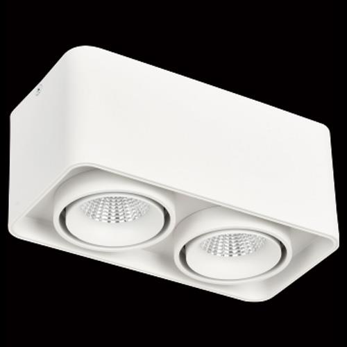 Đèn Lon Vuông Đôi L195*W100*H100 , COB 12W*2 - Vỏ Trắng