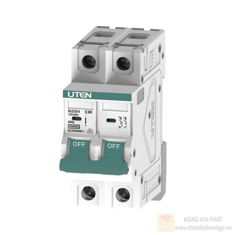 Thiết bị đóng cắt MCB 2P 80A 10kA 400V C curve