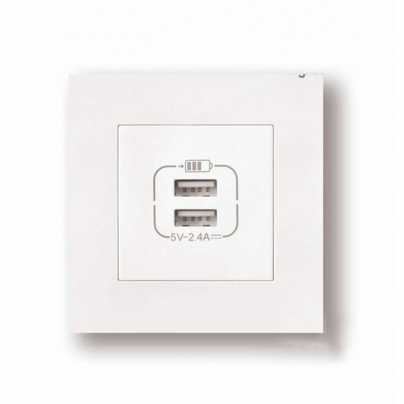 Ổ cắm USB đôi V9USB2