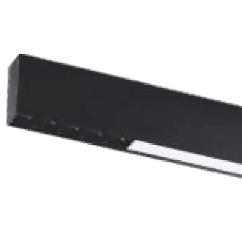 Đèn gắn nổi hoặc treo trần PASA Series