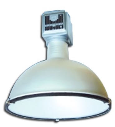 Đèn cao áp E40 250W metal halide & sodium
