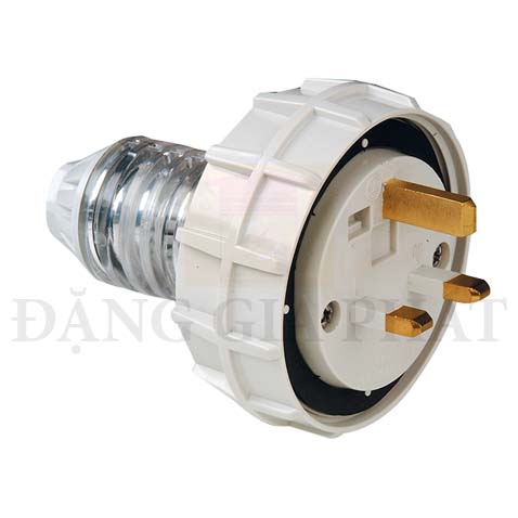 Phích cắm công nghiệp Schneider 3P 250V IP66
