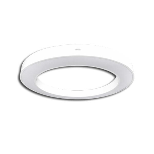 Đèn gắn nổi hoặc treo trần PRMA