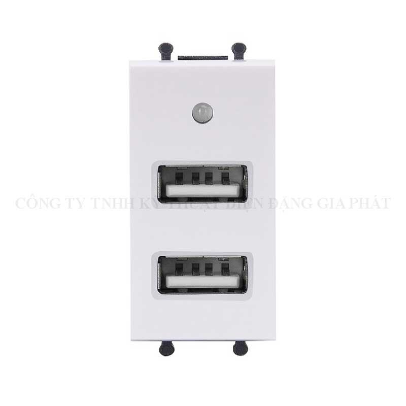 Ổ cắm đôi USB cỡ S