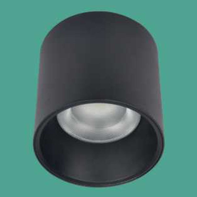 Đèn Lon ốp nổi Euroto LN-235 Ø100*H100 20W IP65