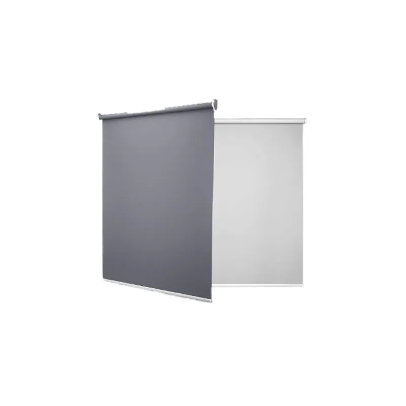Màn chiếu Smart MPE RB1/SC