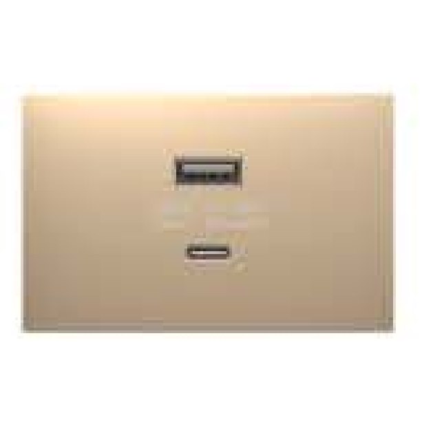 Hạt ổ cắm USB Type A+C 30W ABB size 2M