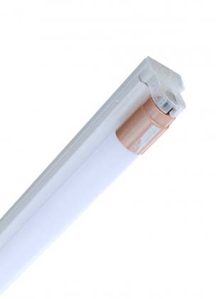 Bóng LED tuýp SGP