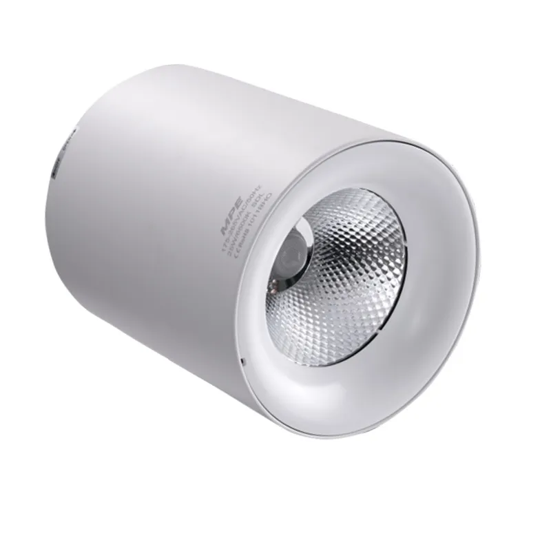 Đèn LED downlight MPE tròn lắp nổi 24W