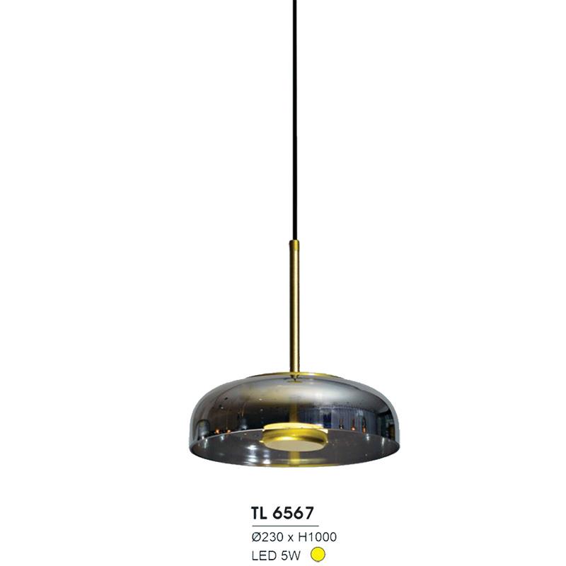 Đèn treo led trang trí TL 6567