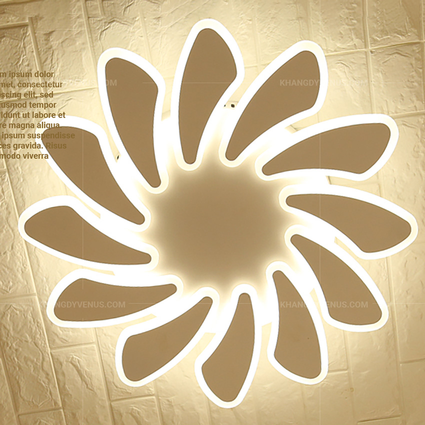VENUS WD8152
