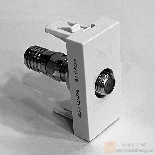 Ổ cắm Tivi kiểu F ((950-2500MHZ)