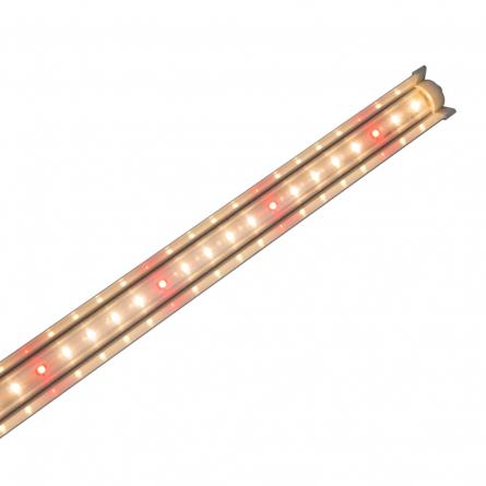 Đèn LED chuyên dụng trồng rau 1,2m