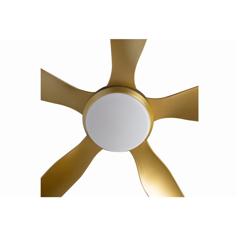 Quạt trần đèn 5 cánh AC Electric ACF03D665-G Ø167,6cm